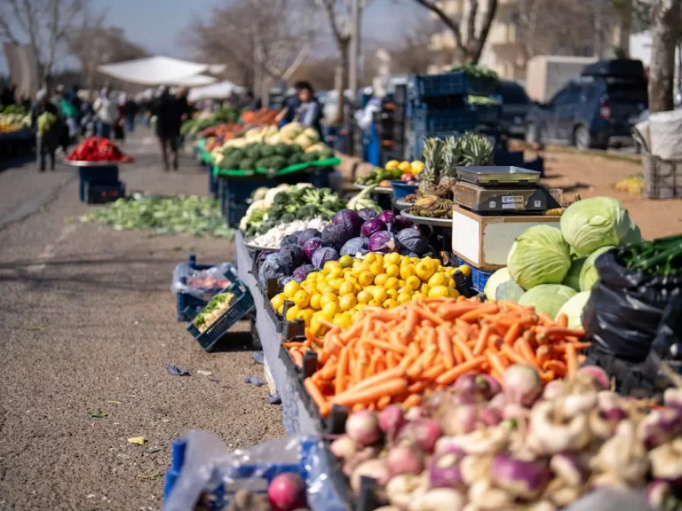 Régime riche en fibres alimentaires