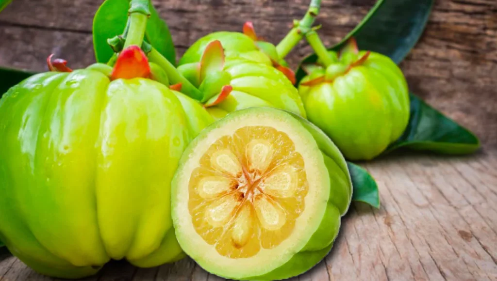 Garcinia cambogia