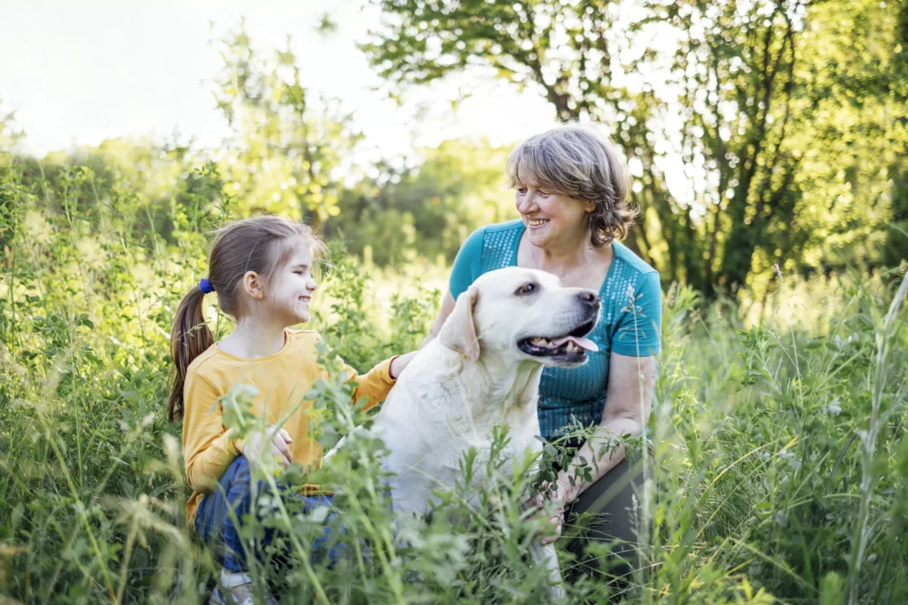 Mutuelle animaux de compagnie